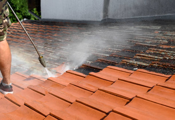 Best Sidewalk Pressure Washing  in East Rancho Dominguez, CA